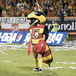 Vartotojo avataras