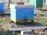 Vartotojo avataras